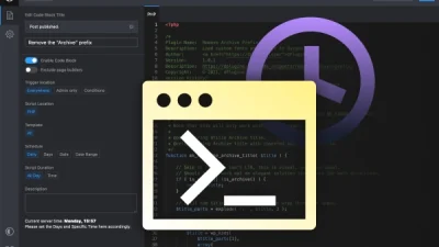Review Scripts Organizer Plugin WordPress Untuk Developer