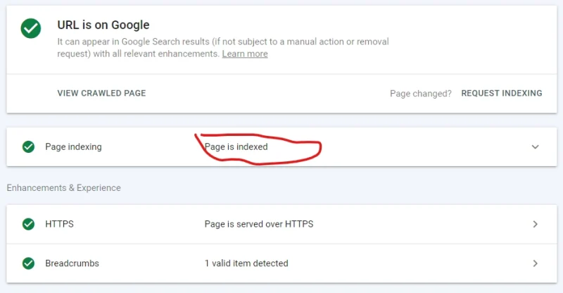 Cara Cepat Terindex Google Terbukti Berhasil Terbaru 2024
